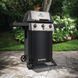Газовий гриль Broil King Gem 310 814153 фото 6